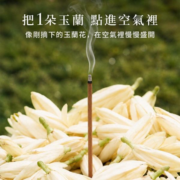 原木香 玉蘭花臥香 玉蘭香 線香 20克 白玉蘭 玉蘭花精油添加 純天然 天然薰香 玉蘭薰香 玉蘭花香 無助燃劑 不燙手 天然香 室內薰香 解憂花 放鬆 舒壓 提升貴人運 好人緣 招桃花 求姻緣 玉蘭花臥香,玉蘭臥香,玉蘭花線香,玉蘭線香,玉蘭香,白玉蘭花,白玉蘭,白玉蘭香,臥香,線香,薰香,天然香,玉蘭花香