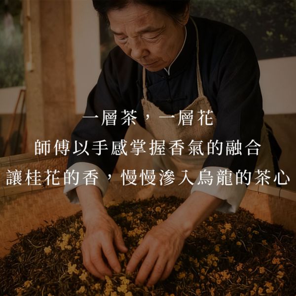 原木香 桂雨 桂花烏龍茶 (8g*6入) 茶包 茶葉 杉林溪烏龍茶 南庄金桂 台灣茶 純天然 輕焙 高山烏龍 桂花 窨茶 冷泡 熱泡 午茶 持久耐泡 回沖不苦澀 桂雨,桂花烏龍茶,8g,8克,茶包,茶葉,烏龍,南庄金桂,台灣茶,純天然,輕焙,高山烏龍,桂花,窨茶,冷泡,熱泡