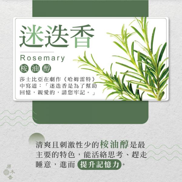 原木香 迷迭香精油 (10ml/瓶/摩洛哥) 傳說中的記憶之草 草本香氣 桉油醇 COA認證 單方精油 純精油 純天然 薰香 擴香 泡澡 調和 調香 疏通 提神醒腦 幫助記憶 舒緩疲勞 提振精神 提升專注 舒緩肌肉 改善呼吸道 香氛精油 精油擴香 天然精油 迷迭香 迷迭香精油