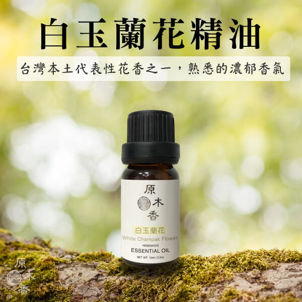 原木香 玉蘭花精油 (3ml/瓶/中國) 台灣人記憶中最美的味道 白玉蘭花 花香調 幽香 COA認證 單方精油 純精油 純天然 薰香 擴香 泡澡 調和 調香 放鬆 舒壓 療癒 心靈平和  平靜思緒 改善情緒 安撫心緒 減輕焦慮 鎮靜 溫暖 女性能量 白玉蘭精油 玉蘭花精油 白玉蘭葉精油 白玉蘭花精油 花香精油 香氛精油 精油擴香 天然精油