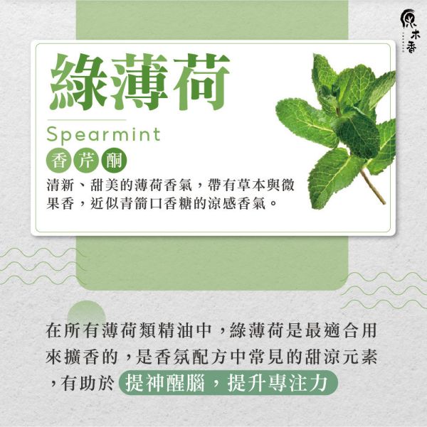 原木香 綠薄荷精油 (10ml/瓶)經典的青箭口香糖香氣 讓你不用嚼也很香 美國進口 留蘭香 桉油醇 COA認證 單方精油 純精油 純天然 薰香 擴香 調和 提神 醒腦 消暑 解暑 清涼 清新 解熱 止痛 止癢 思緒清晰 冰涼清爽 涼感 舒緩頭暈 