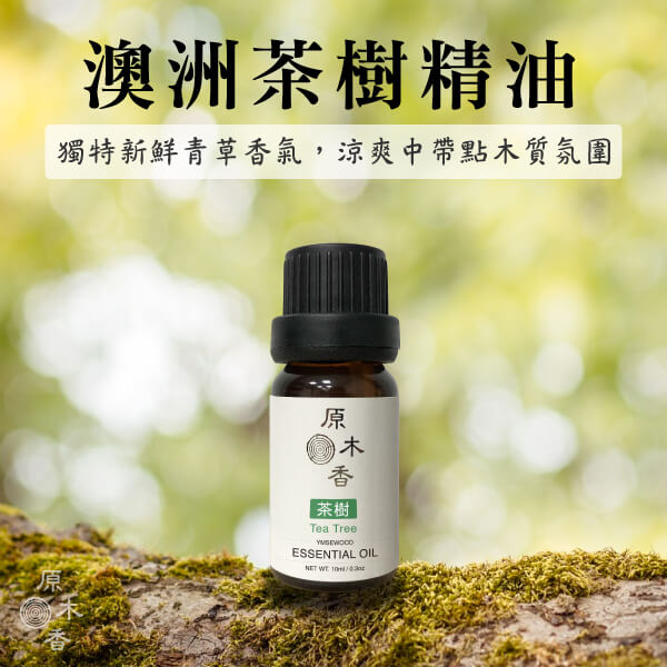 原木香 澳洲茶樹 (10ml/瓶/澳洲) 澳洲原裝進口 最好的茶樹精油產地 草本香氣 COA認證 單方精油 純精油 純天然 薰香 擴香 泡澡 調和 調香 肌膚保養 淨化空氣 除臭 除異味 居家芳香 舒緩情緒 清新醒腦 提振精神 療癒身心 解壓 舒壓 驅趕蚊蟲 澳洲茶樹 尤加利精油 茶樹精油 抗菌精油 香氛精油 精油擴香 天然精油