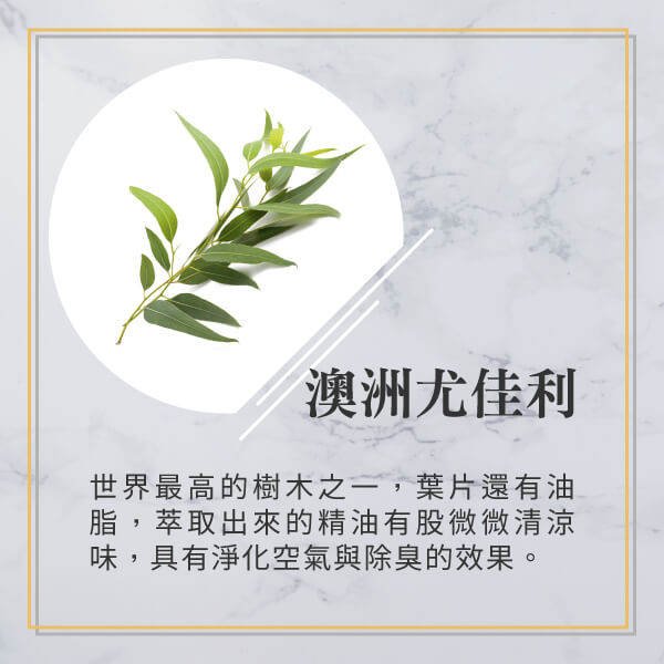 原木香 澳洲尤加利精油 (10ml/瓶/澳洲) 香氣絕佳的尤加利品種 草本香氣 COA認證 單方精油 純精油 純天然 薰香 擴香 泡澡 調和 調香 肌膚保養 淨化空氣 除臭 除異味 居家芳香 舒緩情緒 清新醒腦 提振精神 澳洲尤加利精油 澳洲尤加利 藍膠尤加利 甜橙精油 檸檬精油 香氛精油 精油擴香 天然精油