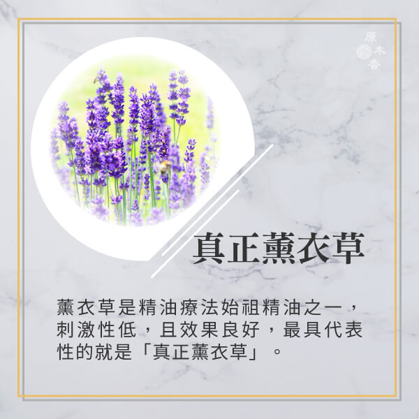 原木香 真正薰衣草精油 (10ml/瓶/保加利亞) 氣味最細緻香甜的薰衣草 淡雅香氣 溫暖柔和 高地薰衣草 純正薰衣草 花香調 COA認證 精油之母 單方精油 純精油 純天然 薰香 擴香 泡澡 調和 調香 放鬆 舒壓 療癒 心靈平和 改善情緒 安撫心緒 減輕焦慮 助眠 安眠 香氛精油 精油擴香 天然精油