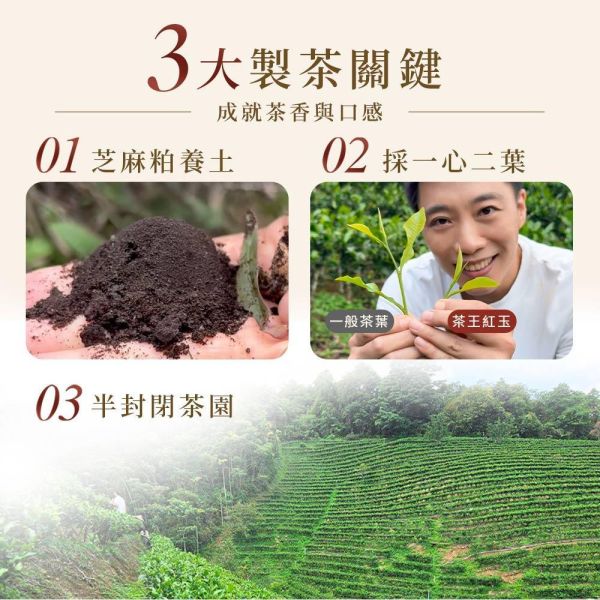 原木香 鈦輕鬆泡茶組 鈦杯 240ml 茶具 泡茶壺 冷泡茶 紅玉紅茶 霜玉白茶 玉蘭烏龍 杉林溪烏龍茶 桂花烏龍茶 茶包 茶葉 台灣茶 純天然 日月潭魚池 一心二葉 甜香款 比賽級 頭等獎 冷泡 耐泡 回沖不苦澀 鈦輕鬆泡茶組,茶具,鈦茶具,鈦杯,泡茶組,便攜茶具,登山茶具,露營茶具,戶外泡茶,冷泡茶壺,冷泡茶,茶王紅玉,霜玉紅茶