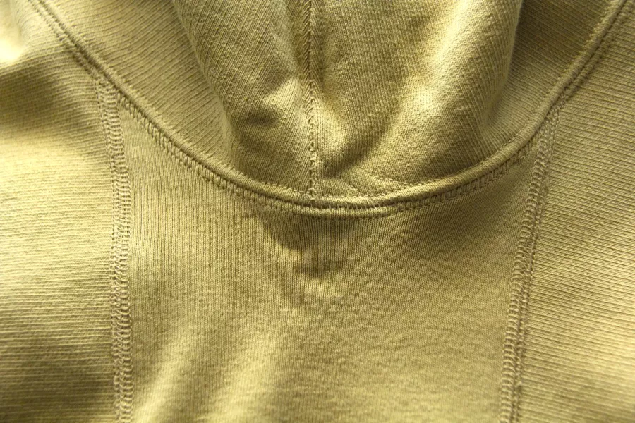 XX DEVELOPMENT - The CALIFORNIANS 60's HOODIE (Canyon) 男 好穿帽t 推薦帽t推薦男,日系帽t品牌,帽t品牌,帽t穿搭,運動帽t穿搭,男生帽t,
