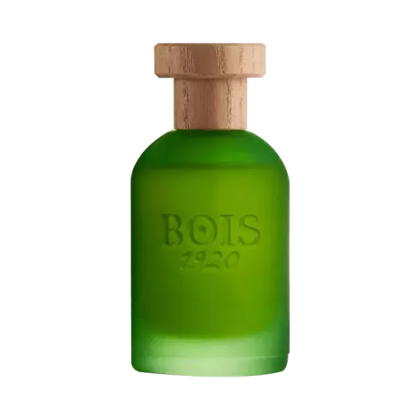 BOIS 1920 CANNABIS 光和樹影 