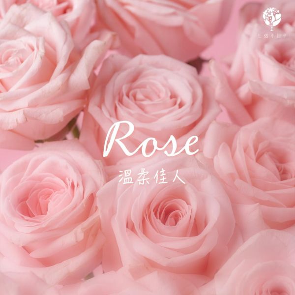 溫柔佳人 Rose ｜草莓荔枝戚風蛋糕｜2026母親節限定 母親節蛋糕