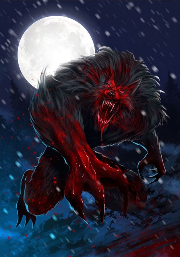 RAVEN 狼人 長袖防磨衣   