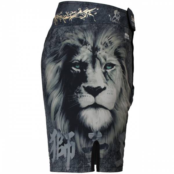 	 ASLAN 亞斯藍 [FS-30] MMA 短褲 / 格鬥褲 