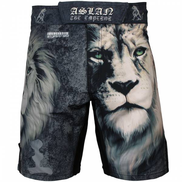 	 ASLAN 亞斯藍 [FS-30] MMA 短褲 / 格鬥褲 