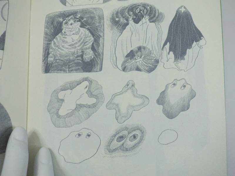 找找 ◇ Neilmc 
