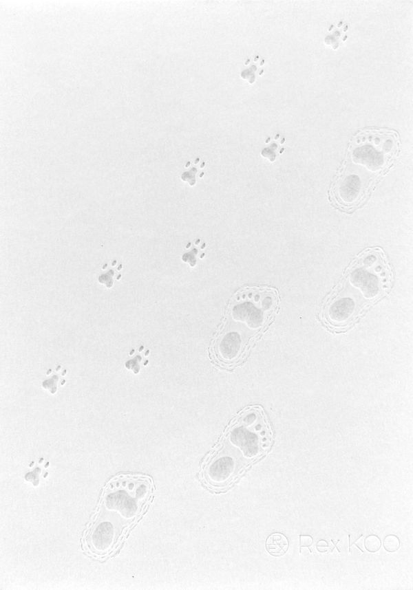 毛人豪華盒裝版 / Rex Koo 香港漫畫, 港漫動力, Rex Koo