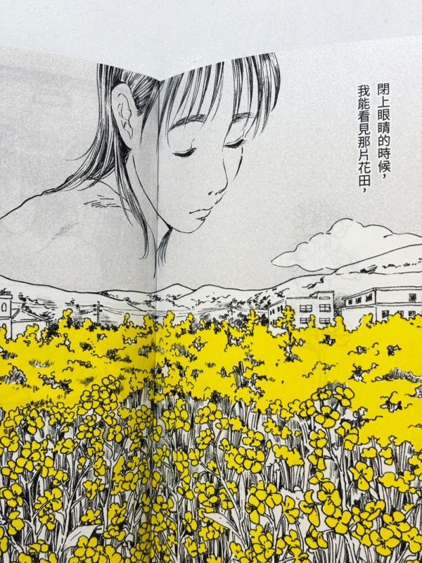 金黃色的夢 / 茵 Fengyin 茵, 台灣插畫家