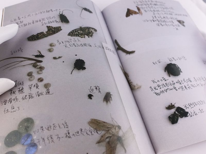 X時光 ◇ 王登鈺 王登鈺