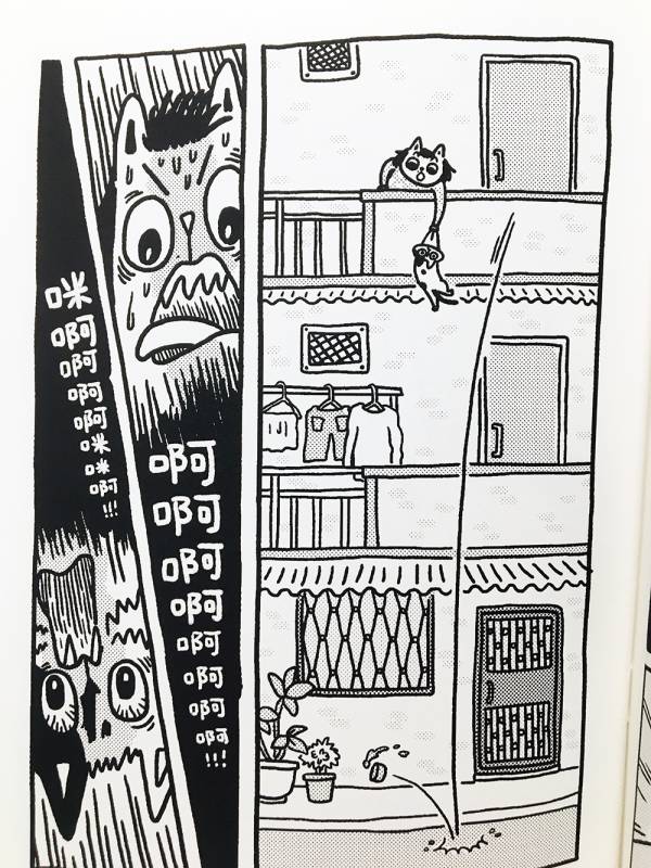 尋貓任務 ◇ 小星眼(許珮) 