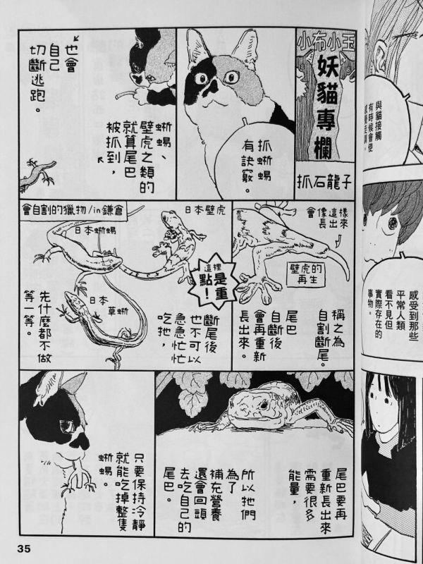 鎌倉妖貓俱樂部(2) / 五十嵐大介 五十嵐大介, 貓漫畫