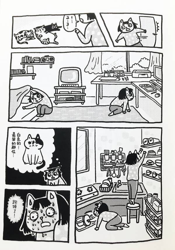 尋貓任務 ◇ 小星眼(許珮) 