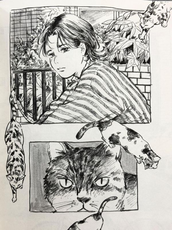看見 Seeing / 茵 Fengyin 茵, 台灣插畫家