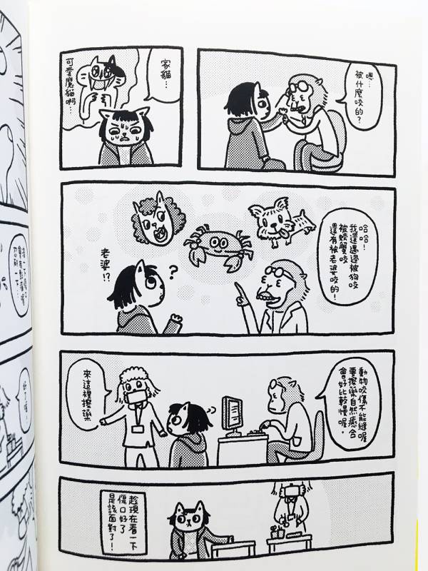 尋貓任務 ◇ 小星眼(許珮) 