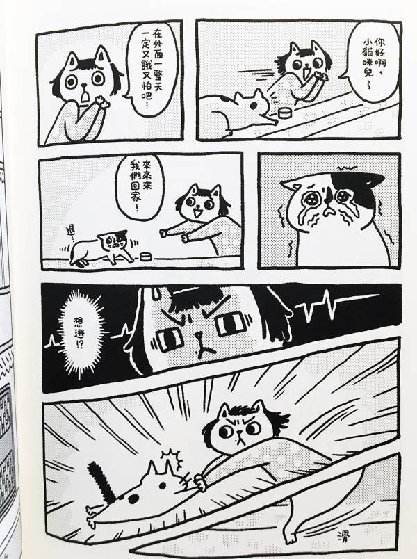 尋貓任務 ◇ 小星眼(許珮) 