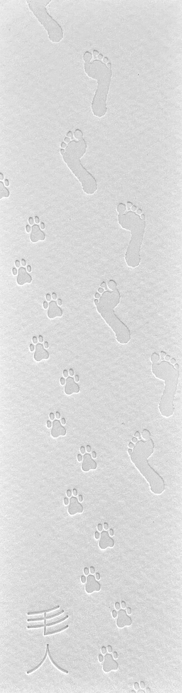 毛人豪華盒裝版 / Rex Koo 香港漫畫, 港漫動力, Rex Koo