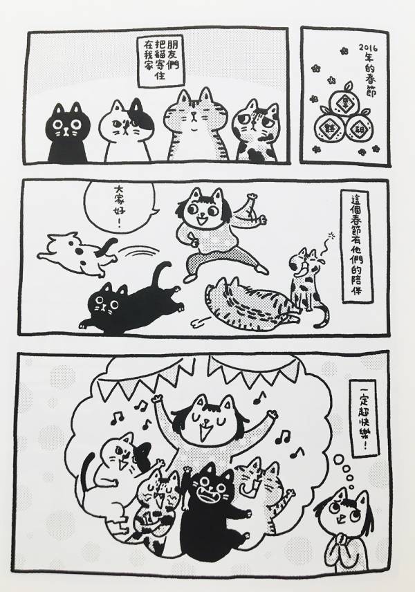 尋貓任務 ◇ 小星眼(許珮) 