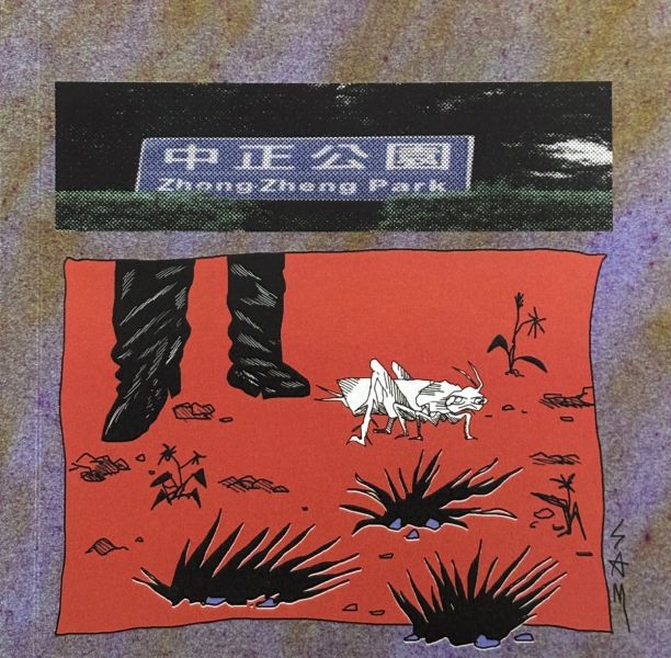 中正公園 / 山姆 SAM 