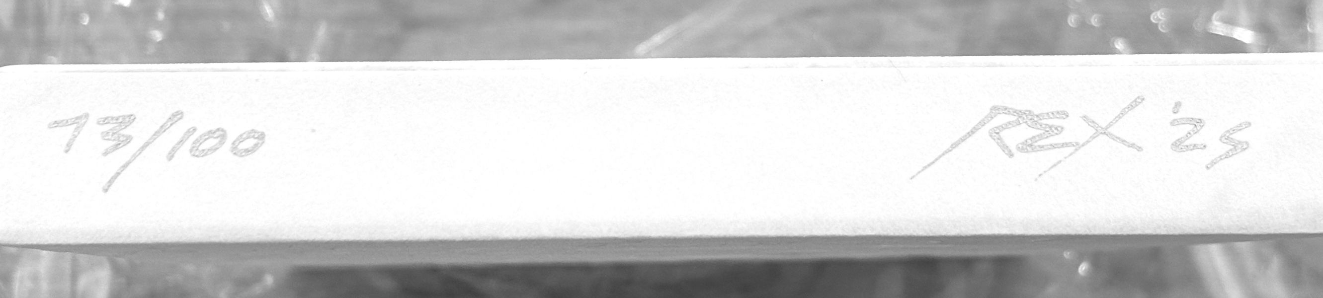 毛人豪華盒裝版 / Rex Koo 香港漫畫, 港漫動力, Rex Koo