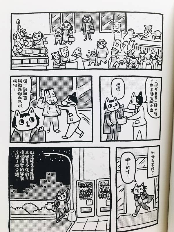 尋貓任務 ◇ 小星眼(許珮) 