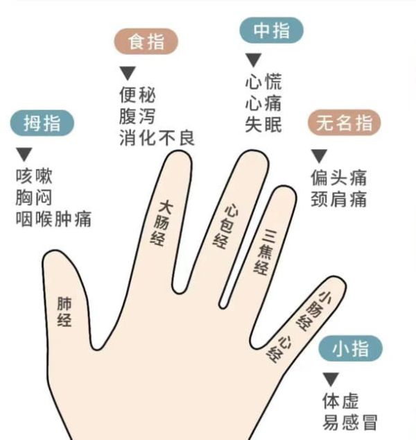 琥珀枕(2個入) 