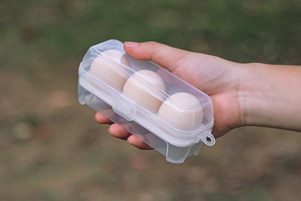 雞蛋收納盒 雞蛋 裝雞蛋 收納盒 