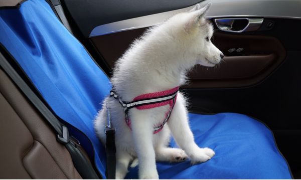 車用狗墊 寵物車墊 防水車墊 貓狗車載墊 雙座車墊 
