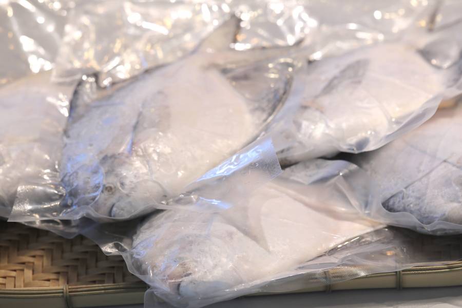 野生白鯧 每隻 600~700 g 