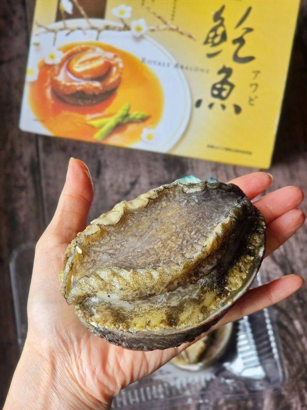 (免運)御品半殼巨無霸鮑魚 2~3顆 淨重550g 正負10%(禮盒裝) 
