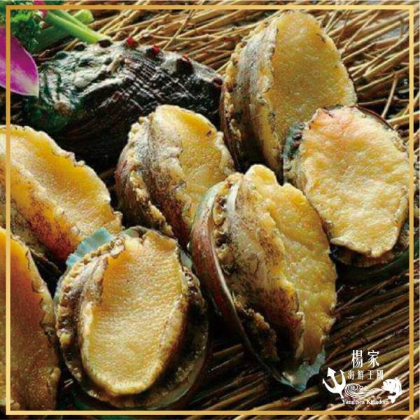 (限時免運)御品半殼大鮑魚 *3包組 10~12顆 淨重550g 