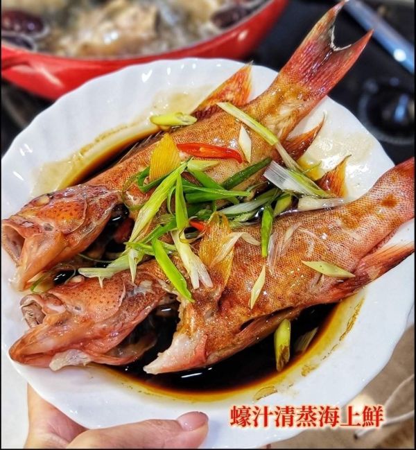 野生紅鰷石斑 每隻500g 以上 