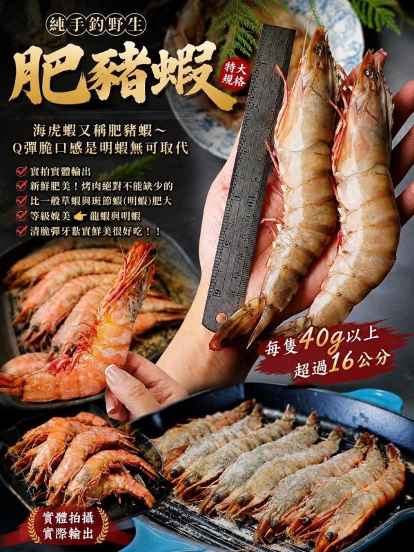 野生肥豬蝦 每盒8~10隻 500g 