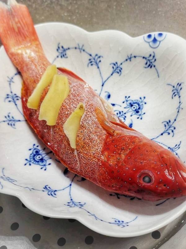野生燕尾紅鰷 每隻400g 以上 