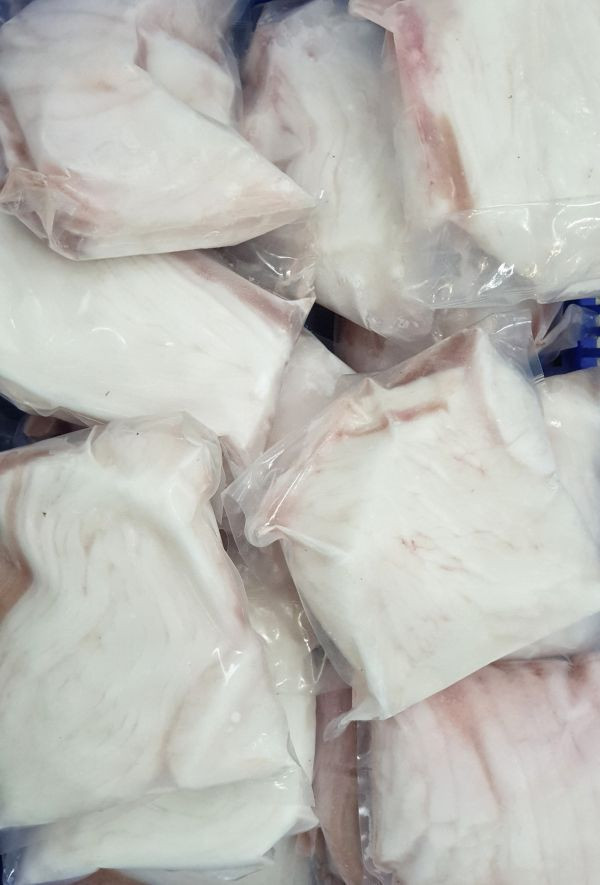 現流曼波魚 550-600g 
