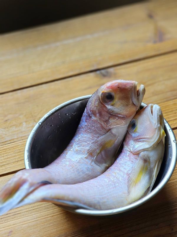 (免運)野生馬頭魚 (去鱗去鰓去肚)  每隻200g 以上  *10尾/組 