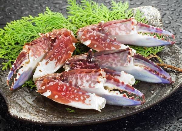 青花蟹腳(巨無霸) 每箱淨重1.5公斤蟹螯約15隻上下 