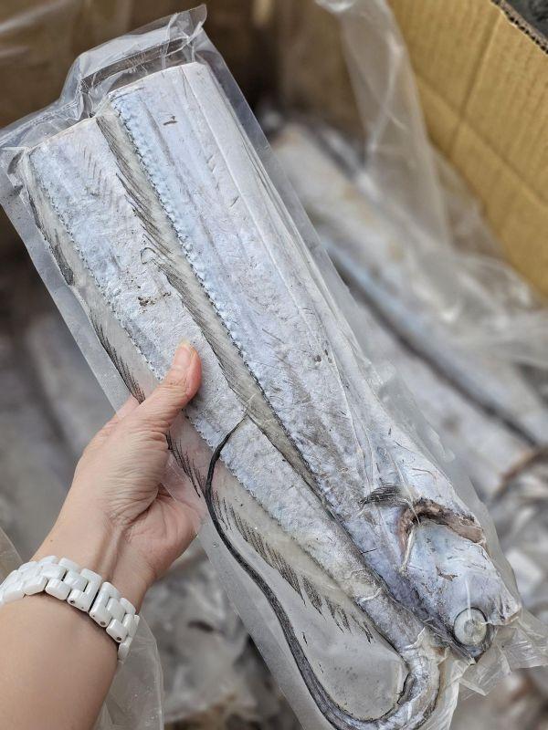 本港現撈白帶魚 已殺(去嘴去肚)300g以上 