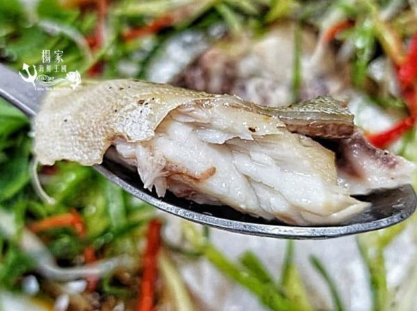 台灣純海水生長【黃金鲳】 每隻超過600g 無包冰純重呦!! 