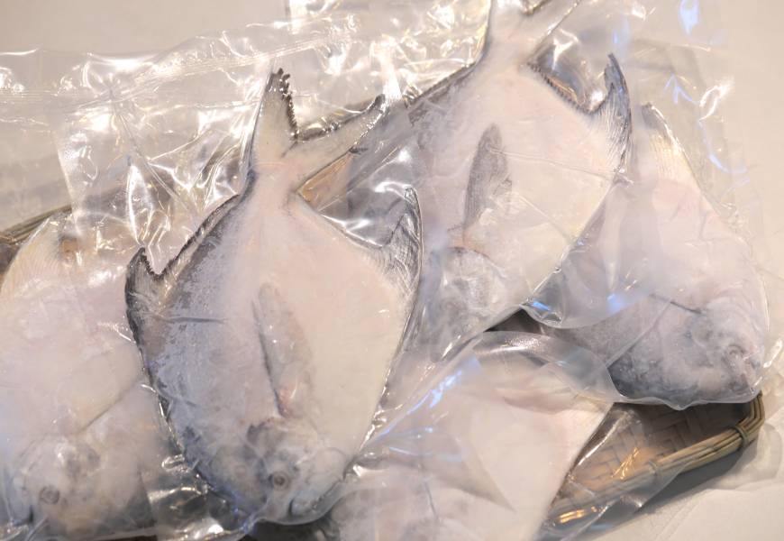 野生白鯧 每隻 600~700 g 