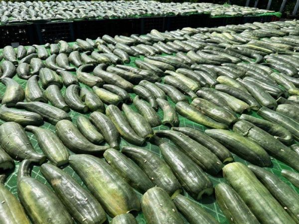 富美×阿嬤的瓜仔肉 每包300g 約3~4人份 