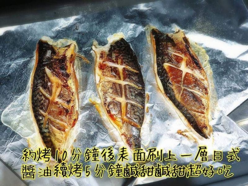 挪威鹽漬鯖魚 