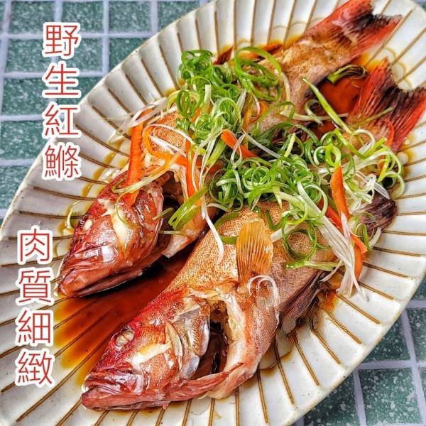 野生小燕紅條 300g上 