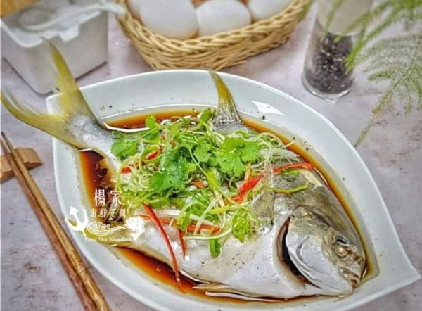 台灣純海水生長【黃金鲳】 每隻超過600g 無包冰純重呦!! 