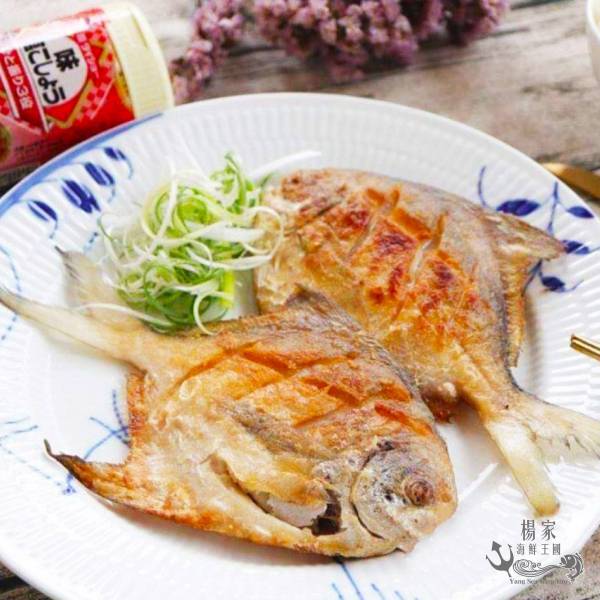 野生白鯧 200g以上/尾 